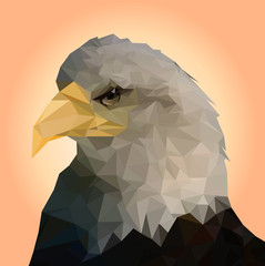 Odosobniony łysy orzeł na białym tle, Low poly głowa sokół, Wektorowa ilustracja