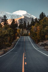 Pusta droga z drzewami i górami w odległości