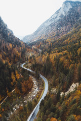 Pusta droga z drzewami i górami w oddali