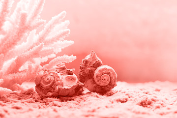 Żywy koralowy kolor roku 2019. Modny kolor.