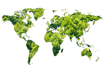 ŚWIAT LAS ZIELONA MAPA
