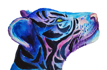 Ilustrowany tygrys. fiolet i niebieski