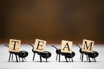 Cztery mrówki niosą litery, które tworzą zespół słów