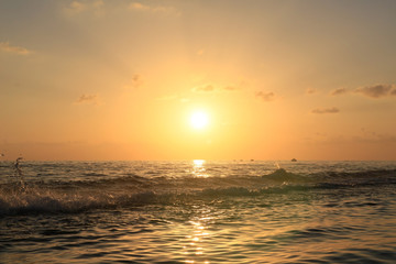 High wave with splashes in the sea against the backdrop of the sunset.