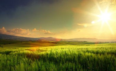 wiosenna ziemia uprawna i wiejska droga; wzgórza Toskanii