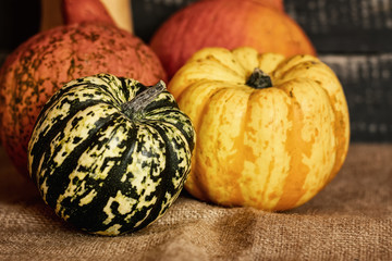 Different pumpkins on a jute bag with a background of old planks. Close up.