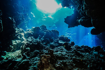 Caves of the Paradise reef at the Red Sea, Egypt