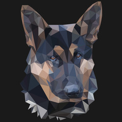 Owczarek niemiecki low poly portret