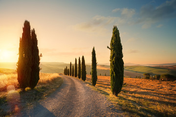 włochy toskania krajobraz wzgórza; letnie pola uprawne i wiejska droga;