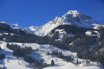 the alps in austria mountain range