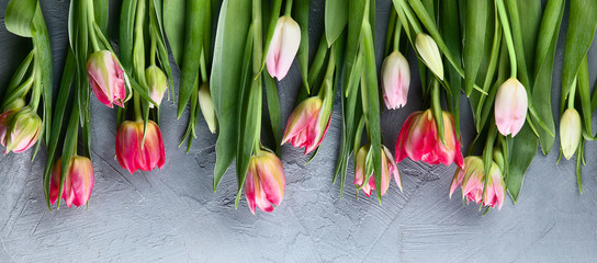 Świezi tulipanowi kwiaty