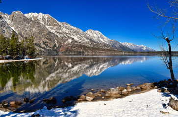 Park Narodowy West Coast USA