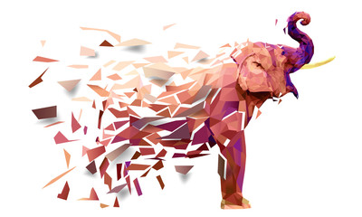 Słoń Low poly wielobarwny, wzór geometryczny wzór, wektor eps10
