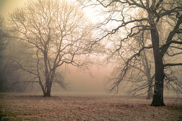 zimny jesienny poranek