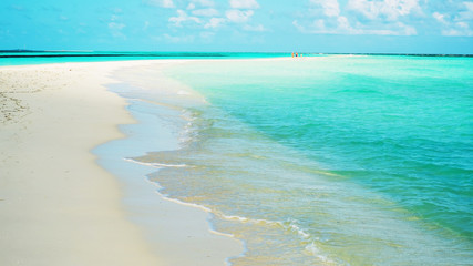 Piaskowiec pojawia się podczas odpływu na wyspie Lhaviyani na Malediwach