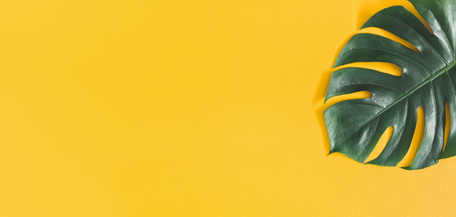 Monstera liść na żółtym tle. Koncepcja lato. Leżał płasko, widok z góry, miejsce kopiowania