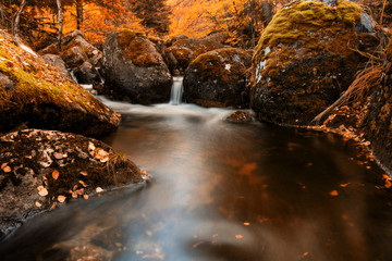 strumień jesienią
