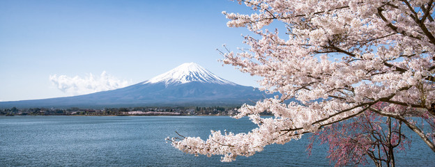 Góra Fuji do Sakury wiosną, Kawaguchiko, prefektura Yamanashi, Japonia