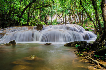piękny wodospad w zielonym lesie