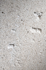 bakcground szczegół betonu. grunge tekstury cementu ściany