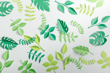 widok z góry roślin papieru na szarym tle