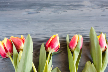 czerwone i żółte tulipany na szarym drewnianym stole