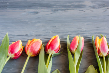 czerwone i żółte tulipany na szarym drewnianym stole