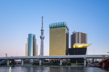 Tokio pejzaż miejski linia horyzontu przy nocą w Tokyo mieście, Japonia