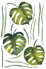 Akwarela tropikalna ilustracja liści monstera