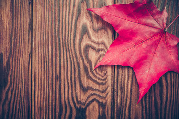 Czerwony liść klonowy kłama na brown drewnianym tle