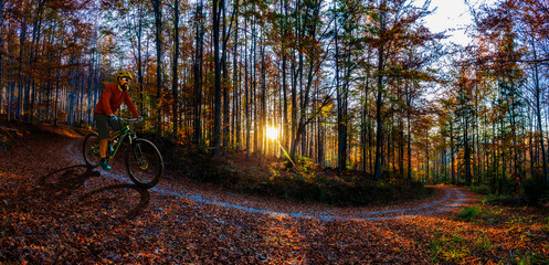 Scena panoramy złoty połysk jesienią w lesie, rano słońce świeci przez drzewa, błękitne niebo w tle.