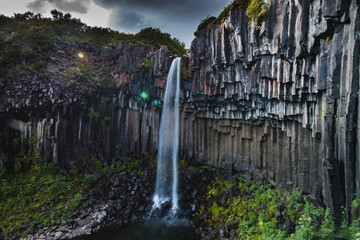 Sławny Svartifoss siklawa w Iceland przy latem, boczny widok