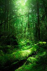 Tajemnicze światło