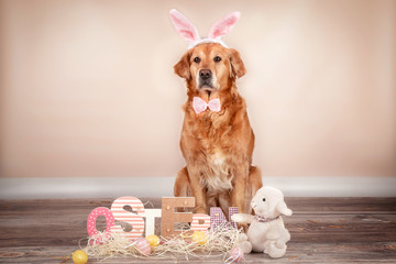 Wielkanoc pies
