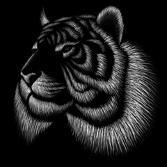 Tygrys logo Vector na tatuaż lub projekt koszulki lub odzieży wierzchniej. Tygrysy w stylu polowania drukowane na czarnym tle.