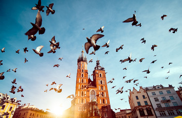 Bazylika Mariacka na głównym placu Krakowa z latającymi gołębiami