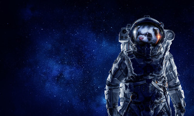 Pierwsza podróż w kosmos. Różne środki przekazu