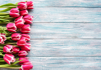 Różowe wiosenne tulipany