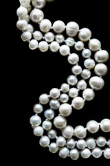 Biała perła na czarno