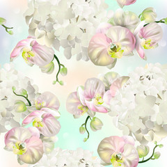 Wektorowy botaniczny bezszwowy wzór z storczykowymi kwiatami.