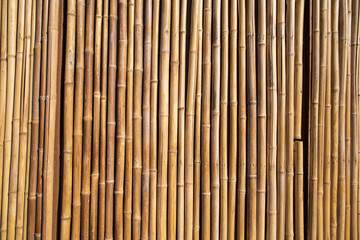tło ogrodzenia bambusa