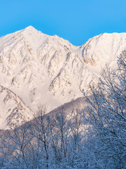 Prefektura Nagano Hakuba Village Snow Mountain Snow Scene
