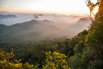Wschód słońca rano widok na zielony las tropikalny