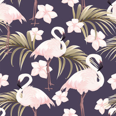 Bezszwowy wzór z różowymi flamingami i białymi kwiatami