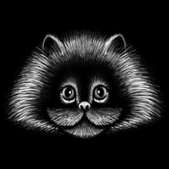 Kot z logo wektor na tatuaż lub projekt koszulki lub odzieży wierzchniej. Śliczny tło stylu kota druk.