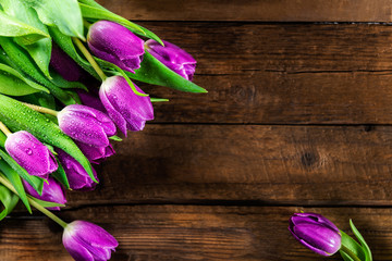 Piękni purpurowi tulipany na ciemnym nieociosanym tle