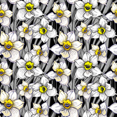 Monochromatyczny botaniczny bezszwowy wzór z ręka rysującymi kwitnie daffodils, narcyz. Projekt florystyczny na szarym tle czarnym. Ilustracja wektorowa