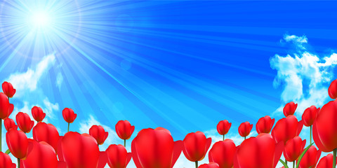 Tulipanowy kolorowy tło kwiat