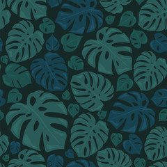 Monstera tropikalny las opuszcza tło. Zielony wzór
