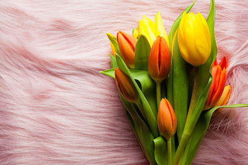 Kolorowe tulipany na tle futra